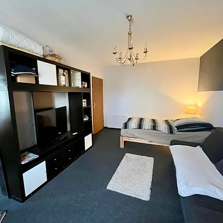 Gemuetliche Souterrainwohnung Naehe Zdf & Stadion - 1 Zimmer, Kueche, Bad Apartment